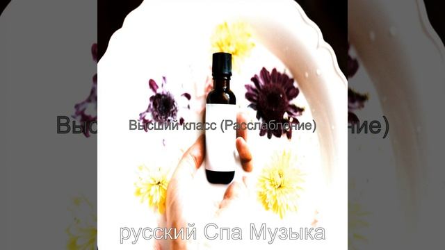 Чувство (Санаторно-курортное лечение) смотреть онлайн