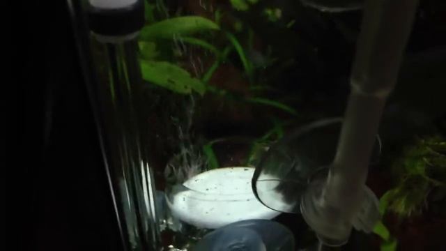 Teste CO2 смотреть онлайн