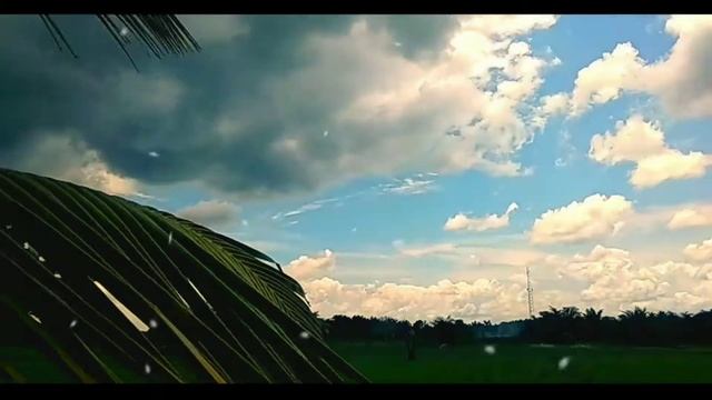 motion timelapse moza mini s || redmi note 8 смотреть онлайн