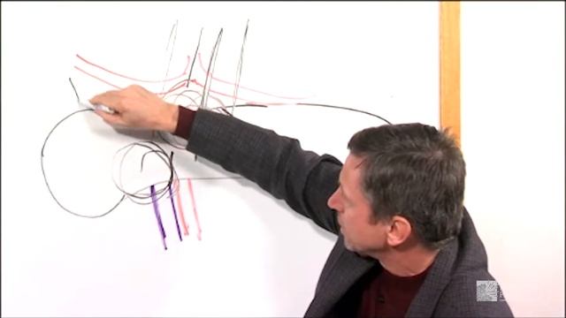 Nanoknife Procedure Kuvshinoff | Roswell Park Patient Education смотреть онлайн