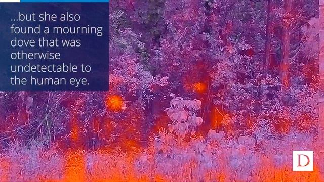 Infrared Animal Detection | Check this Out! смотреть онлайн