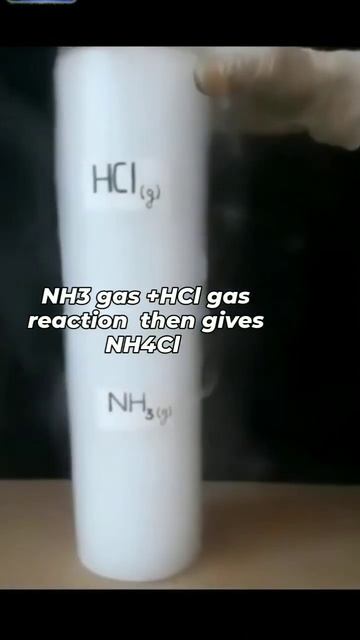 chemical reactions between NH3 gas and HCl gas ......📝📝📝🤔🤔🤔💭💭💭 #chemicalexperiments #jeechemistry смотреть онлайн