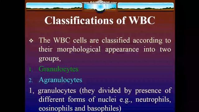 Hematological disorders AHN final term unit 1 ll Blood components and function ll dow university смотреть онлайн