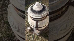 СКУМБРИЯ ХОЛОДНОГО КОПЧЕНИЯ В ТАНДЫРЕ #еда #диета