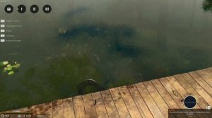 Топ 10 Лучших Игр про Рыбалку на Пк ! Симуляторы рыбалки