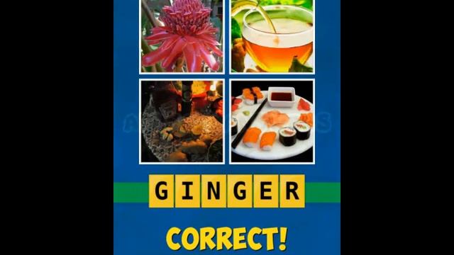 4 Pics Mystery : Evolution Level 6 Answers смотреть онлайн