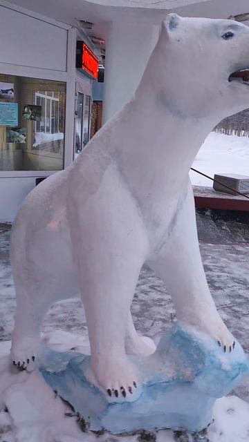 Инта в Январе... Белый медведь... смотреть онлайн