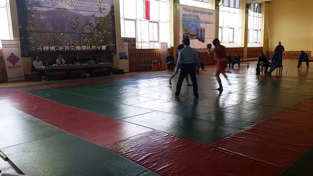 Первенство рб по ушу-саньда 3.04.2016 г.Витебск смотреть онлайн