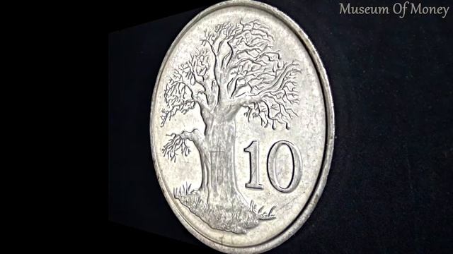 Zimbabwe 10 Cent 1999 Coin смотреть онлайн