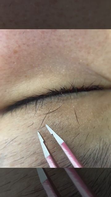 Ложный ряд ресниц, гормональные ресницы false lashes смотреть онлайн