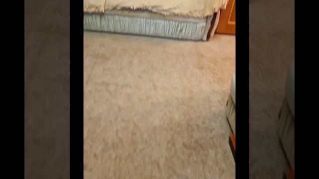 Продается 2хкомнатная квартира в Москве. Вокруг много ВУЗов. смотреть онлайн