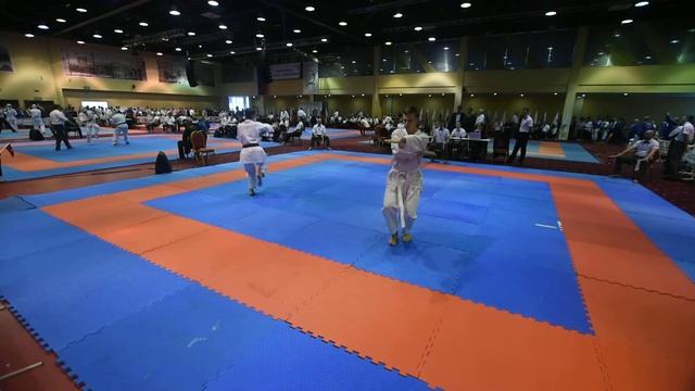 Шевчук двоеборье. Третий круг ката смотреть онлайн