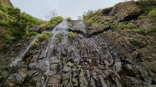 Атака обезьян. Индия. Гаты смотреть онлайн