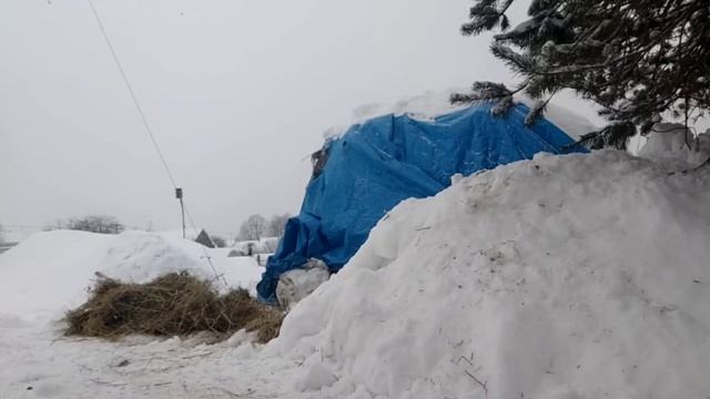 Спасаю теплицу! Борьба со снегом❄️ смотреть онлайн