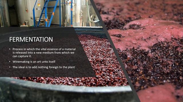 FERMENTATION and SUBLIMATION. For Herbalists and Alchemists. смотреть онлайн