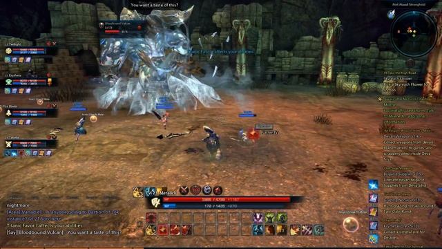 Tera Berserker Last Boss Instance LvL 20-25 смотреть онлайн