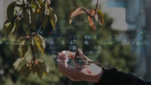 #чакчаки #чакчакиборони Чак чаки борони Таджикский супер песни смотреть онлайн