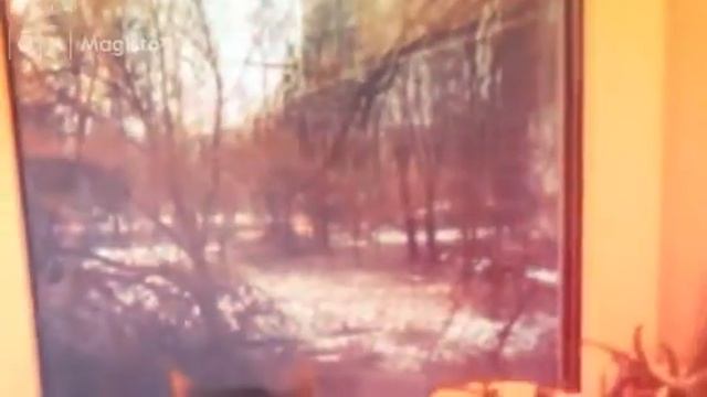 Kitten's Kitchen  (Created With @Magisto)