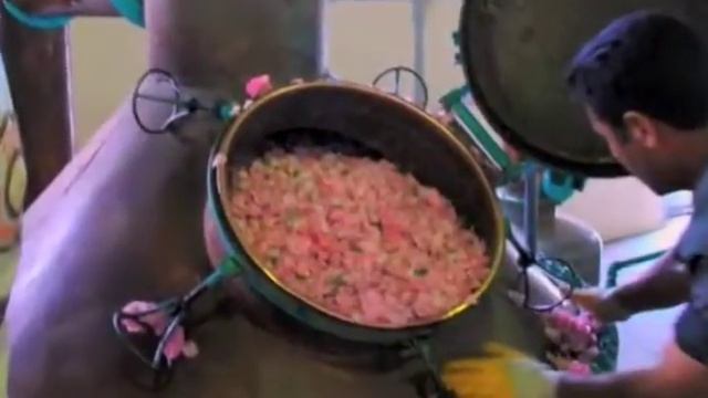 Destillation of rose oil смотреть онлайн