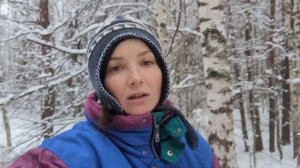 ОН строит ДВОРЕЦ в ЛЕСУ. ПОДНЯЛИ СТЕНУ, ПРИВЕЗЛИ ОКНА. Зимнее путешествие на лошади. Жизнь в деревне