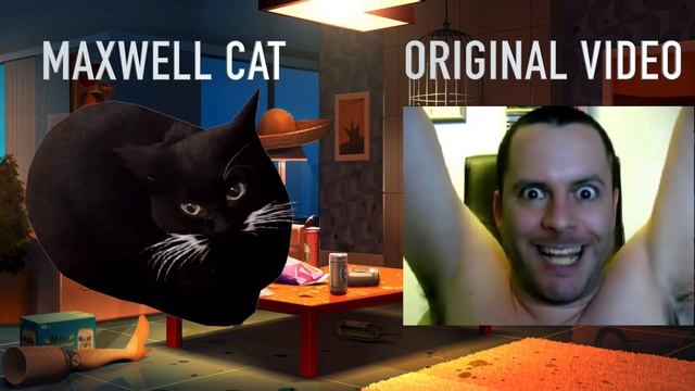 Maxwell Cat Dance With 