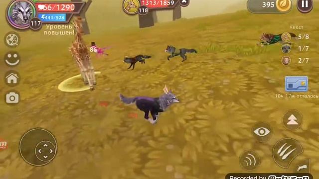 гепарды и рыси смотреть онлайн