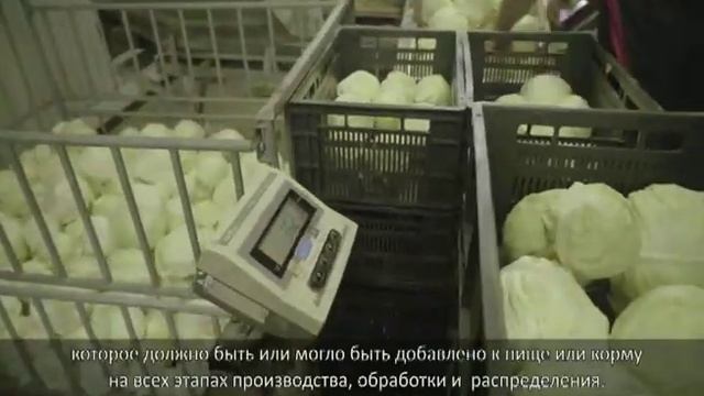Проект HECAFS - HACCP (Aнализ рисков и критические контрольные точки) 1/3 смотреть онлайн