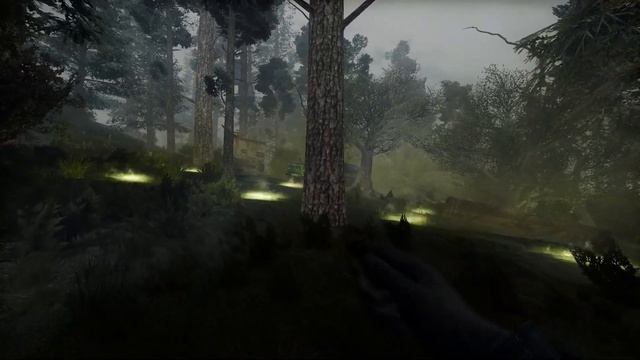 Anomaly Gamma | EDIT Bandit Experience смотреть онлайн