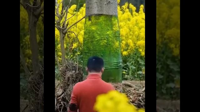 Интересное искусство смотреть онлайн