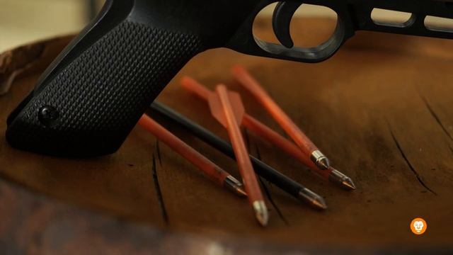 Биглион показал себя как отличный инструмент для рекламы | Викинг-Бар Раскол в Ярославле смотреть онлайн