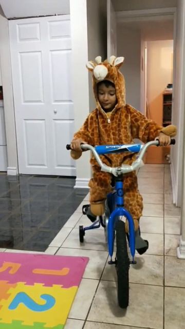 Giraffe riding a bicycle❤❤ #love #cute #grateful #shorts смотреть онлайн
