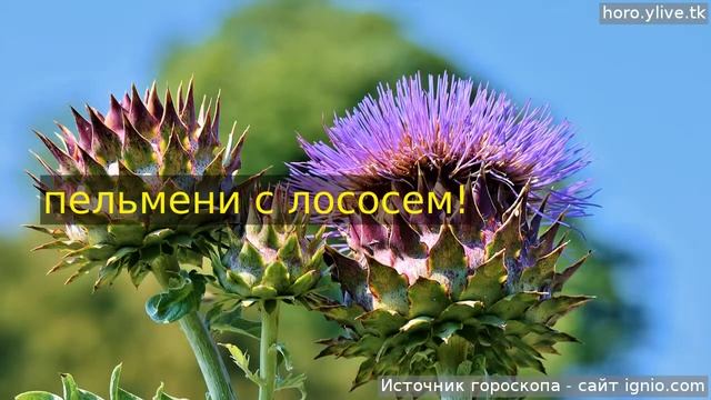 Козерог. 🌮 12 дек. 2018: Кулинарный гороскоп на сегодня. смотреть онлайн