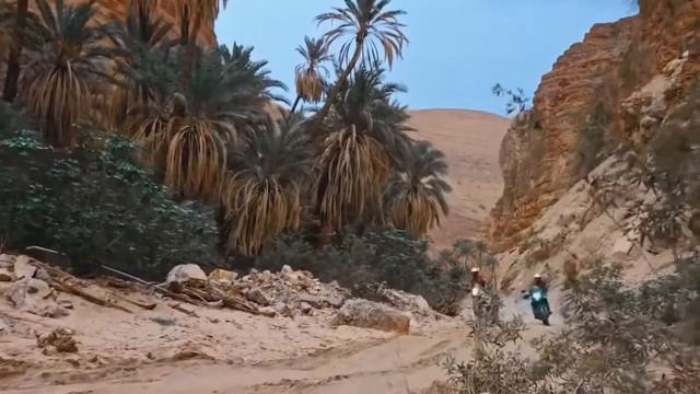 KTM 1290 Super Adventure Extreme Test 💯💯💯💯💯💯💯💯💯💯 смотреть онлайн