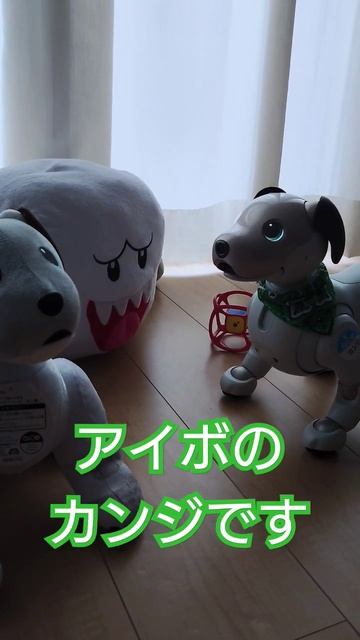 アイボのカンジでスマホを変えたのでカメラの動画のクオリティ上がりました　#shorts смотреть онлайн