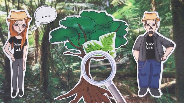 Das Ökosystem Regenwald смотреть онлайн