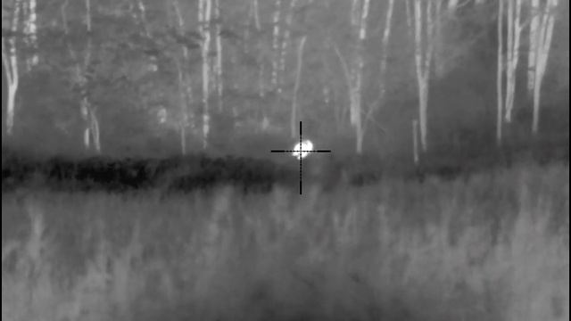 Pulsar Thermion 2, wild boar 110kg смотреть онлайн