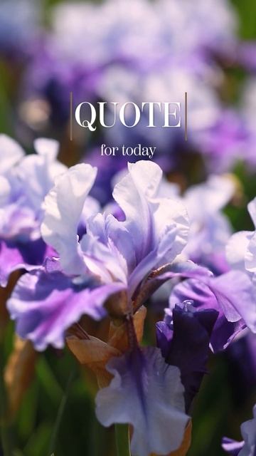 ASMR ENG | quote for every day ☀️ смотреть онлайн