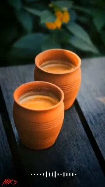 ☕Ham Sharab Nahin Chai Peet Hain Shayari Status ll☕Bad Boy Attitude Shayari Statusll Nik's Gamit ll смотреть онлайн