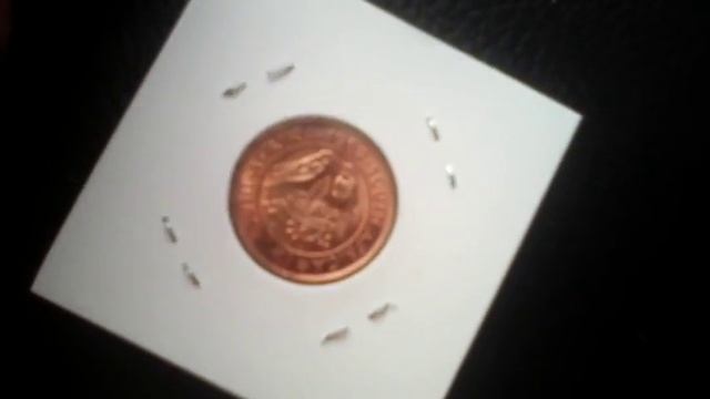 South Africa 1/4 pence 1952 Georg 6 unc! смотреть онлайн