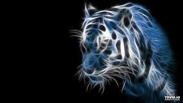 Arabic soundwave смотреть онлайн