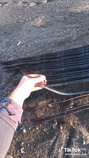 КИТОВЫЙ УС смотреть онлайн