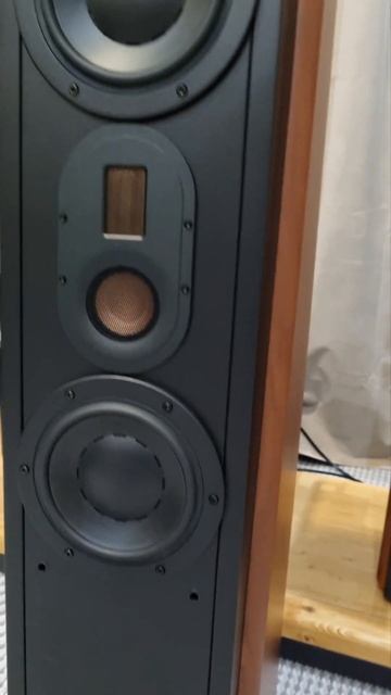 Самые БАСОВИТЫЕ компактные напольники Swan D3.2MKIII! Взрослый Hi-Fi звук за разумные деньги! #hifi смотреть онлайн