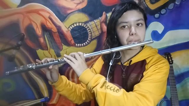 "Hedwig`s Theme" - Harry Potter смотреть онлайн