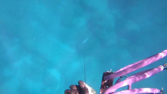 SPEARFISHING in PICO ISLAND AçORES 2018 смотреть онлайн