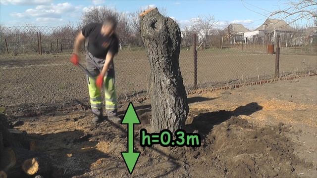 How to remove a tree stump смотреть онлайн