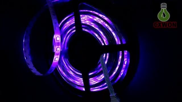 5M RGB LED Strips Red Green Blue Led 12V Marquee Lamps Ribbon Strip For holiday смотреть онлайн