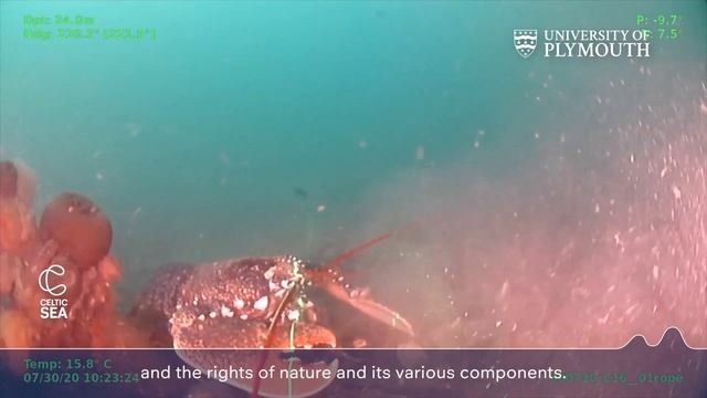 Celtic Sea Opportunities: Equitable and sustainable floating offshore wind development смотреть онлайн