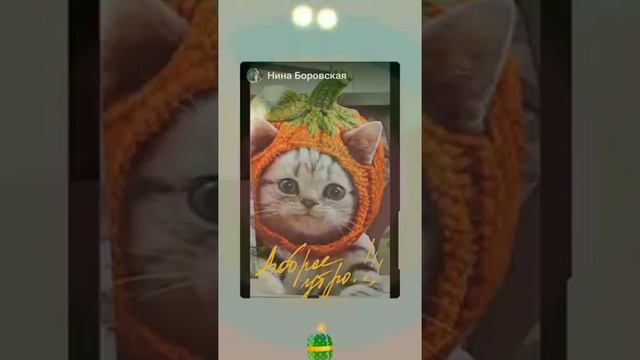 Солнышка в душе, любви, будьте просто. с ч а с т л и в ы ! смотреть онлайн