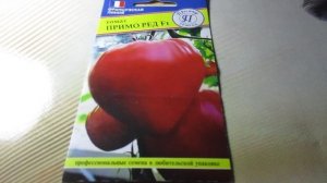 Томат Примо Ред F1: полный обзор сорта от «Престиж-семена»
