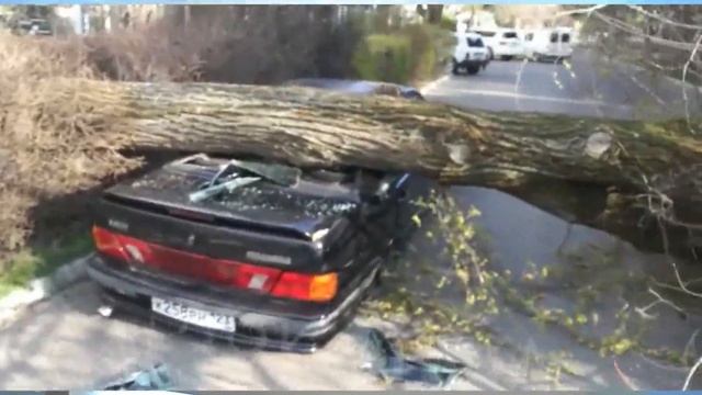 Непогода испытывает анапчан на прочность смотреть онлайн